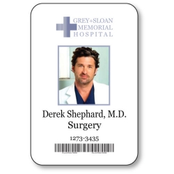 Derek Shephard BADGE HALLOWEEN COSTUME Greys Anatomy Badge Halloween Costume Accessory
